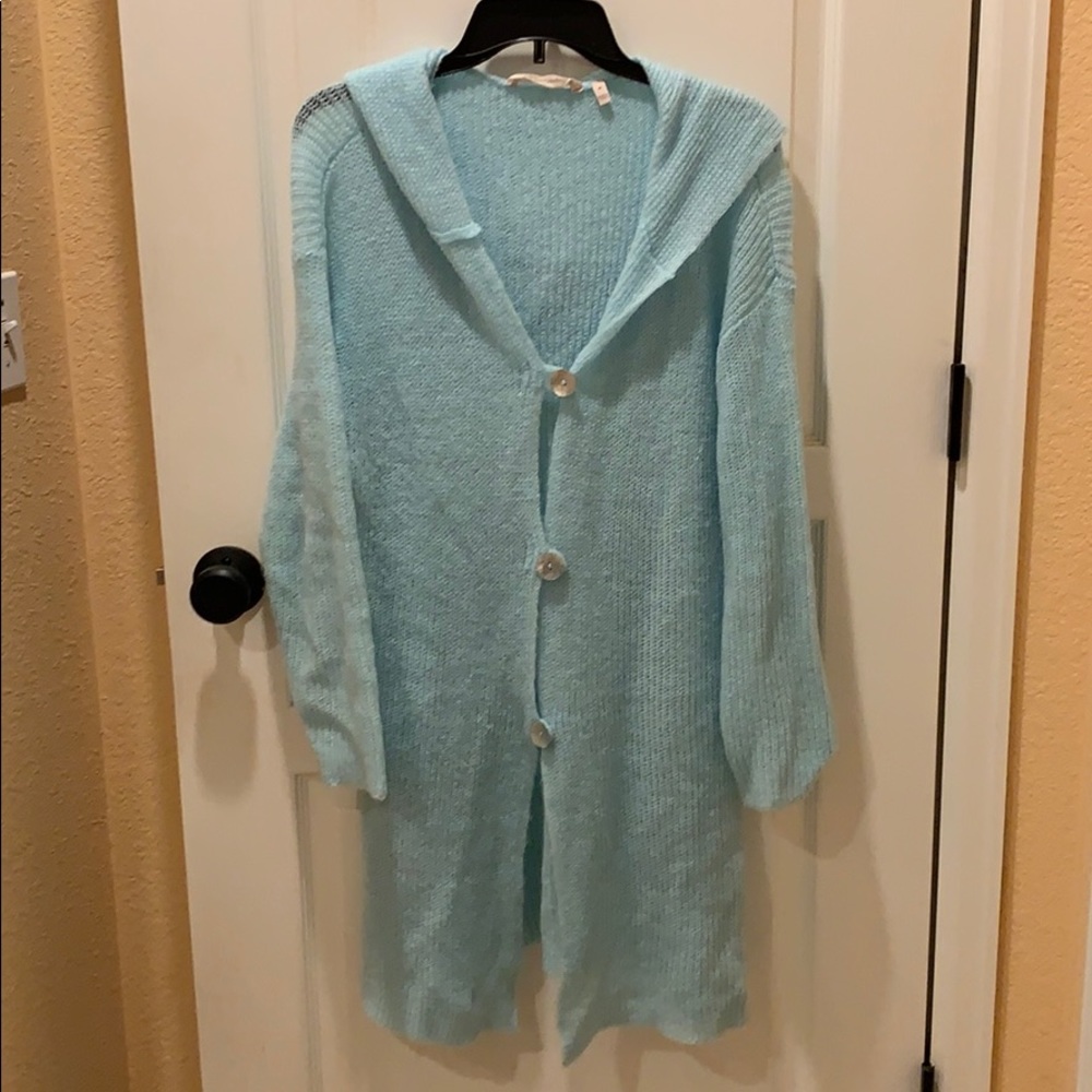 Hooded tunic-length Soft Surroundings sweater